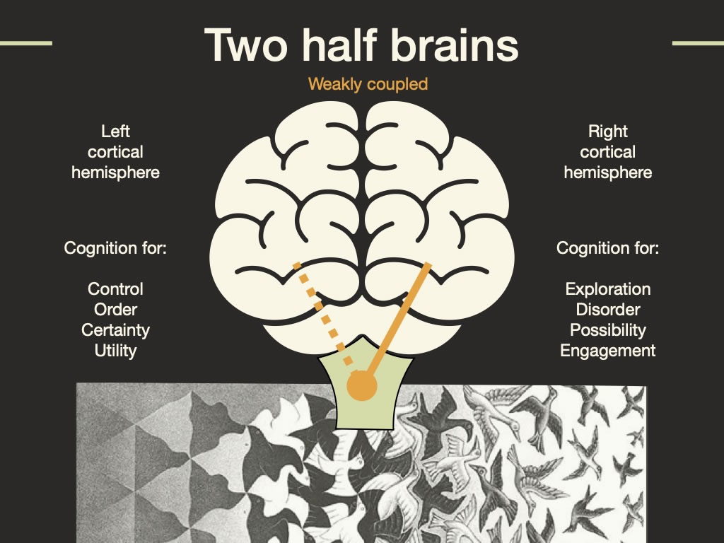 Escher Liberation Infographics